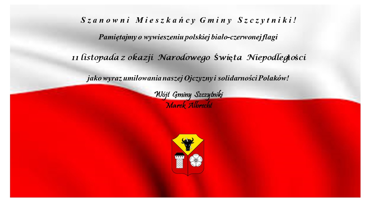 Flaga 11.11.2022