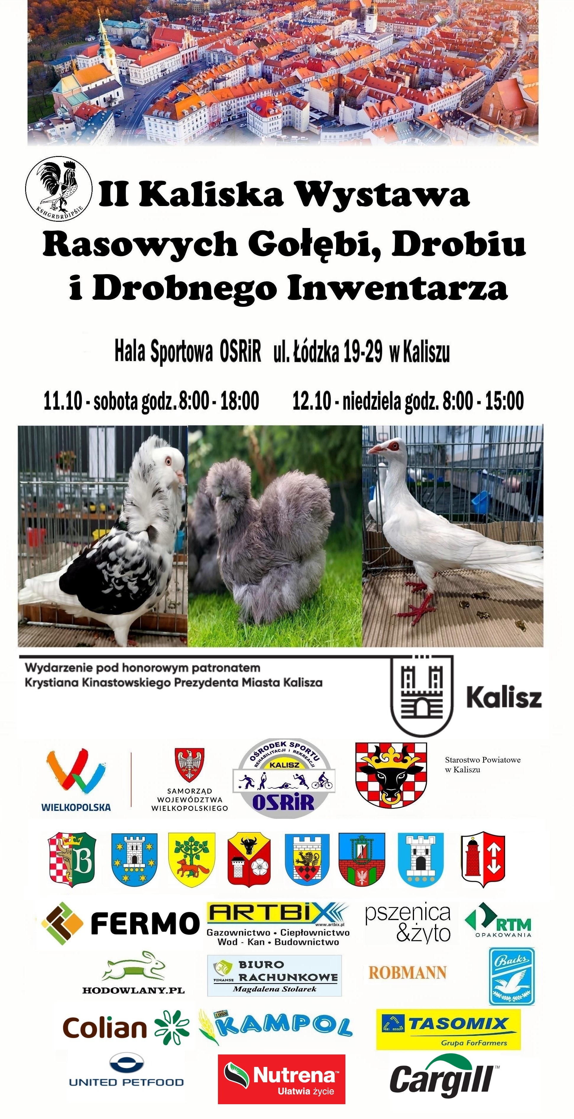 plakat 2025