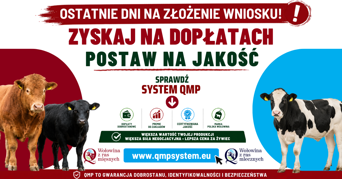 QMP baner close kampania 2026