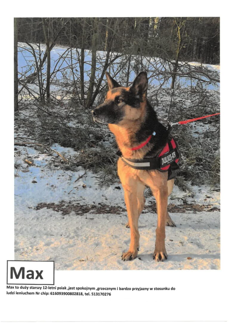 Max 1 768x1086